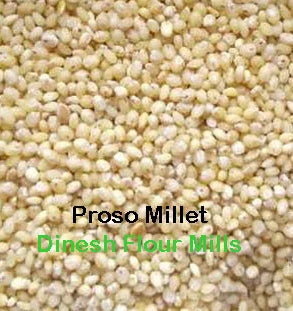 प्रोसो मिलेट को हिंदी में क्या कहते हैं? What is Proso Millet
